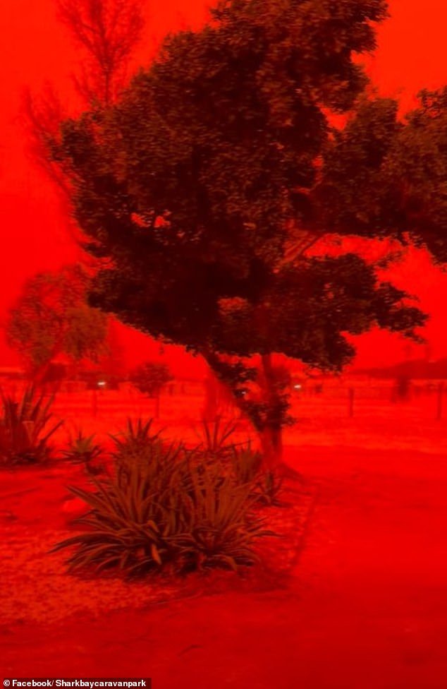 Los australianos atrapados en el camino de destrucción del ciclón Narelle evalúan los daños después de que vientos de 100 km/hora cubrieran toda la ciudad de polvo rojo.
