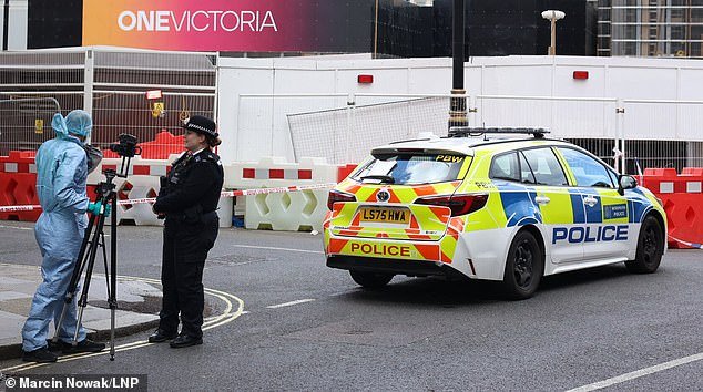Dos hombres, de 18 y 21 años, han sido arrestados bajo sospecha del asesinato de un hombre de 26 años en Westminster.