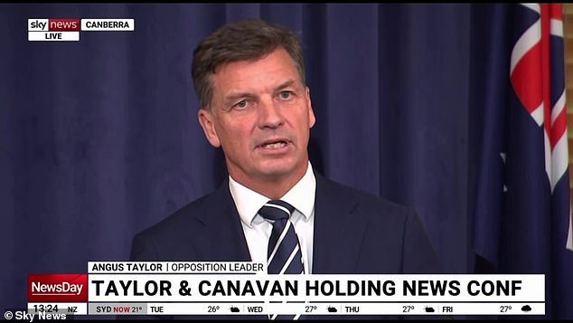 Dentro de la campaña laborista de 600 millones de dólares para atraer aún MÁS políticos a Australia: “Eso no es lo que necesitamos”