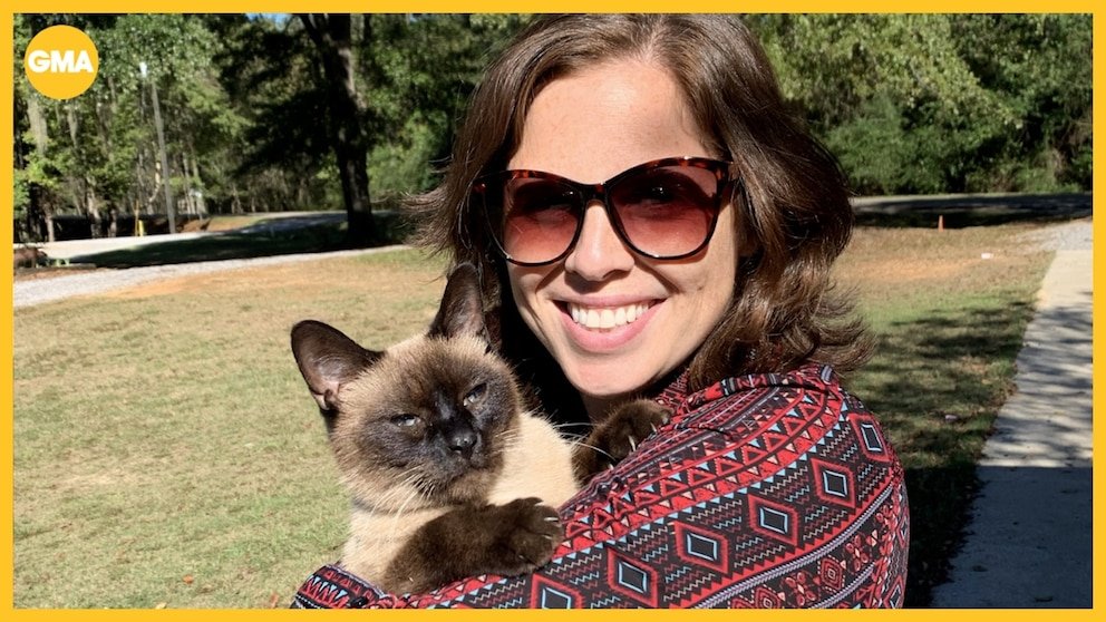 MIRAR: Una mujer encontrada con un gato perdido insta a las personas a ponerles un microchip a sus mascotas