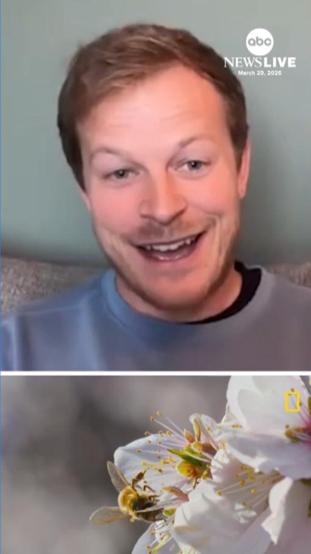 Vídeo de Bertie Gregory de Nat Geo sobre cómo ayudar a las abejas: ‘Plantar flores silvestres’