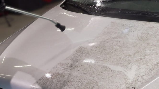 Que no cunda el pánico, aquí le explicamos cómo deshacerse del moho en la carrocería