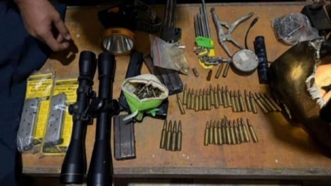 Arrestan al asesino de elefantes con la cabeza cortada en Pelalawan