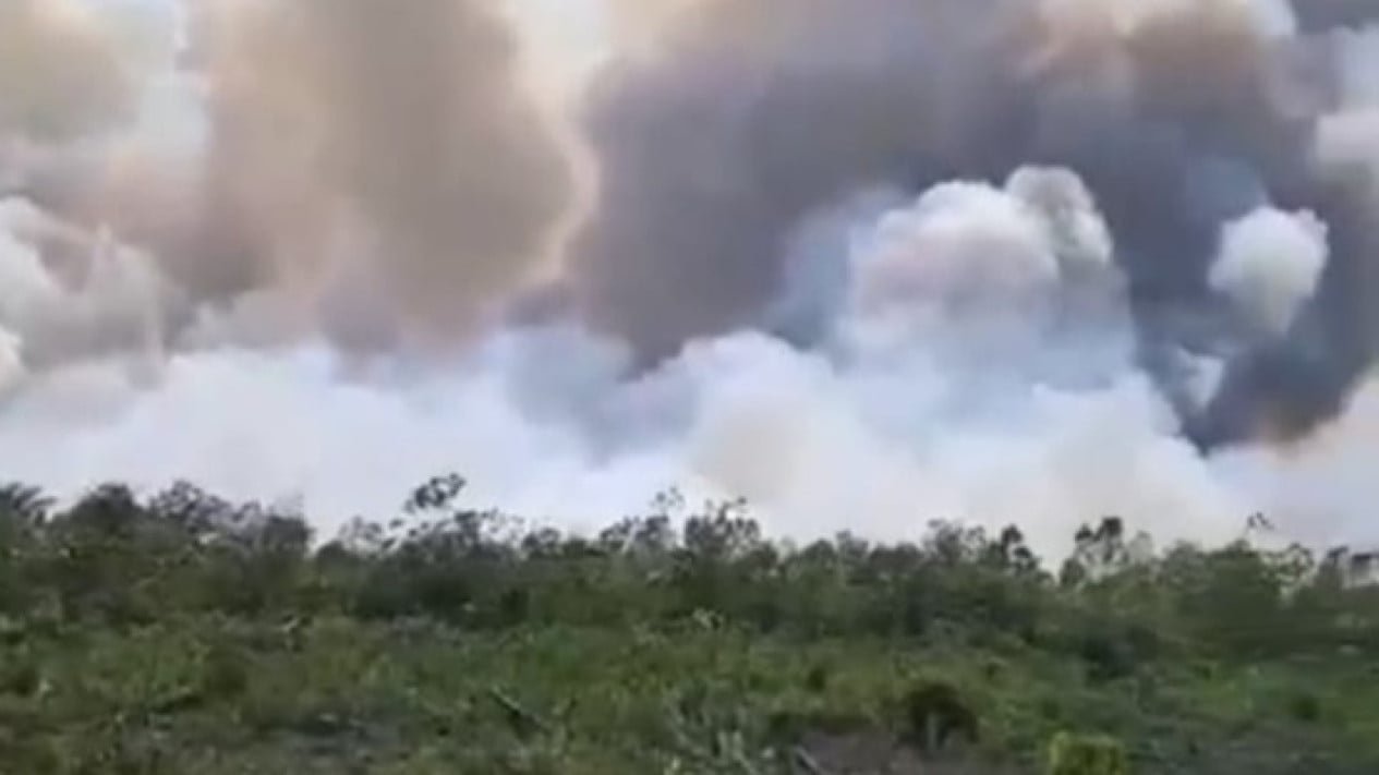 Los bosques y la neblina de humo forestal interrumpen el flujo de retorno en la carretera Riau-Sumatra del Norte
