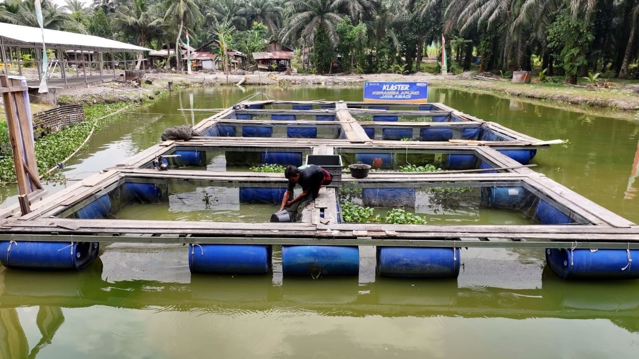 El crecimiento continuo y el empoderamiento de la BRI impulsan la economía de la aldea de Empang Baru