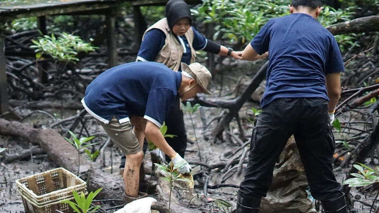 Para fomentar la restauración de los ecosistemas naturales en Tarakan, Telkom colabora con AYS Indonesia