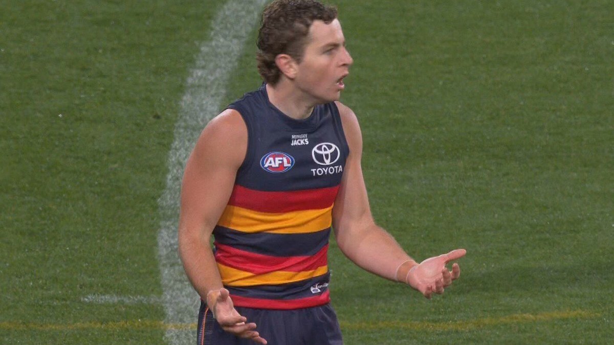 AFL news 2026, resultado de Adelaide Crows v Geelong Cats, video de llamada fuera de límites de Tom Atkins v Zac Taylor, reacción de David King