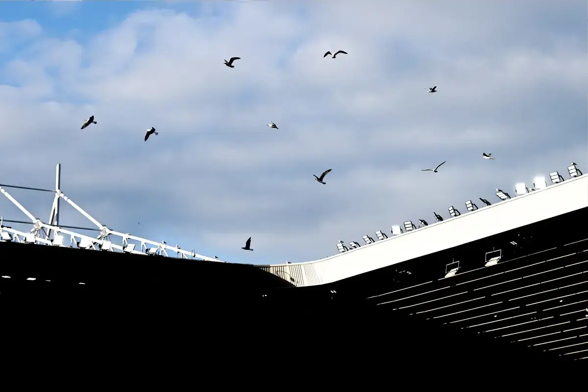 “Tan limitado” Marco Gabbiadini da un veredicto deprimente sobre el Sunderland antes del partido contra el Newcastle United
