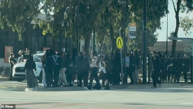 El centro comercial se cerró después de que CINCUENTA adolescentes comenzaran a pelear después de la escuela