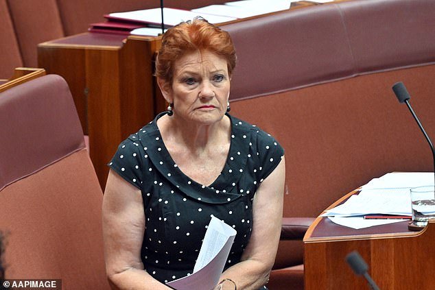 Pauline Hanson exige grandes cambios en el NDIS después de que los fondos por discapacidad se utilizaran para pagar medicamentos, vacaciones y automóviles