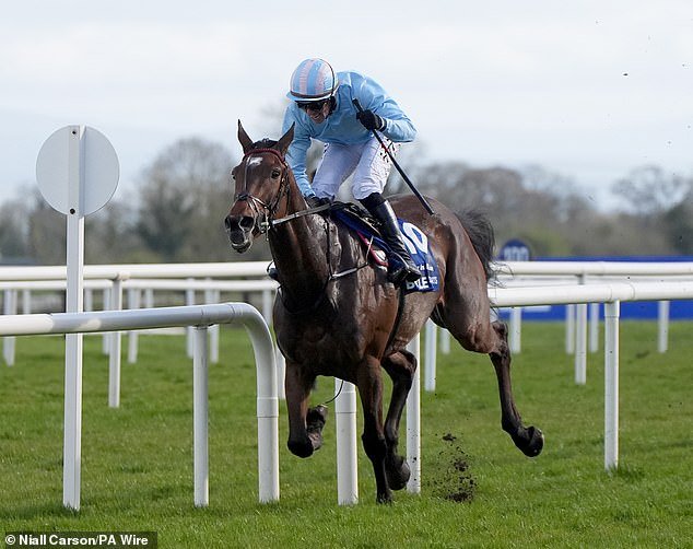 ¡Las casas de apuestas los persiguen! Se están lamiendo las heridas después de un resultado de ‘pesadilla’ en el Gran Nacional de Irlanda… sólo cinco días antes de la gran final de Aintree