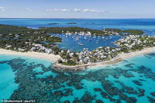 Búsqueda urgente de mujer estadounidense que cayó por la borda durante un viaje en barco a las Bahamas con su marido