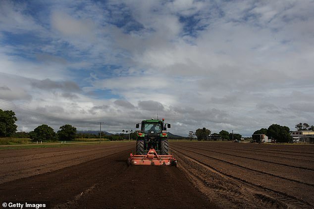 Australia obtiene una gran victoria después de que China congelara exportaciones clave al país: “Necesitamos amigos”