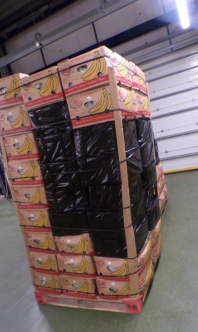 Cocaína valorada en 256 millones de libras y “más pesada que un rinoceronte adulto” encontrada escondida en cajas de plátanos en una de las colecciones más grandes jamás realizadas en el Reino Unido