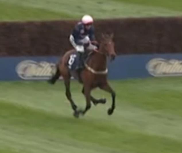 El caballo de Aintree Get on George es sacrificado el día del Gran Nacional, solo 24 horas después de la trágica muerte de Gold Dancer