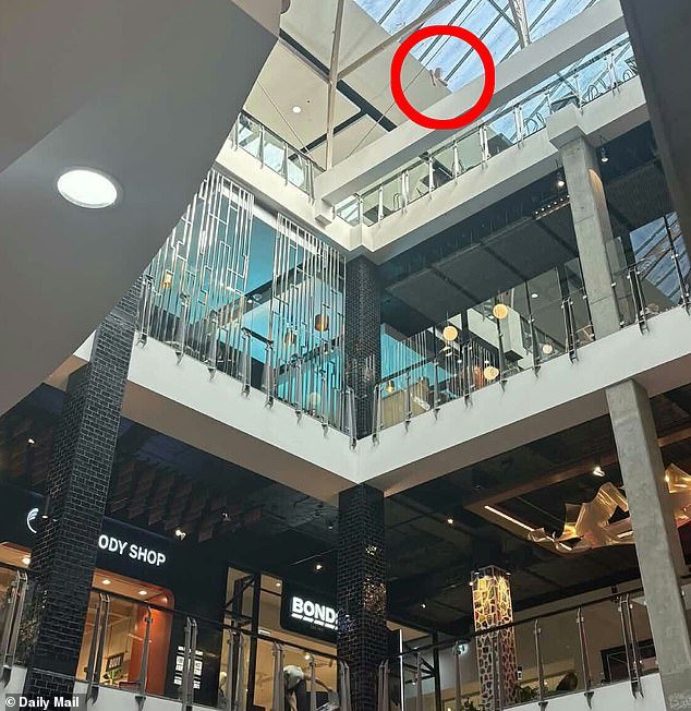 Los servicios de emergencia se apresuran al centro comercial Broadway mientras una gran zona está acordonada