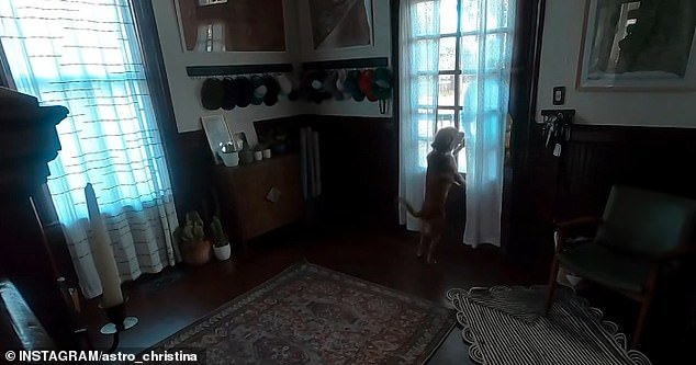 Momento adorable, miembro de la tripulación de Artemis regresa a casa con un perro MUY feliz