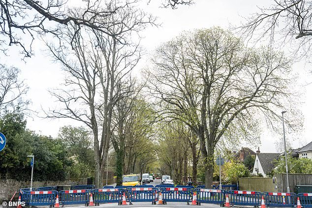 El Consejo que declaró la emergencia climática en un intento por “recuperar” la naturaleza se vio obligado a disculparse tras la tala de un tilo histórico
