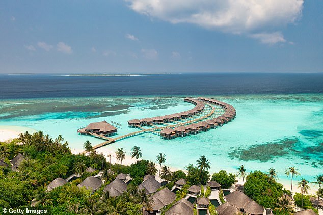 Ataque de tiburón en luna de miel: recién casado lucha por su vida y le amputan una pierna mientras estaba de vacaciones en Maldivas