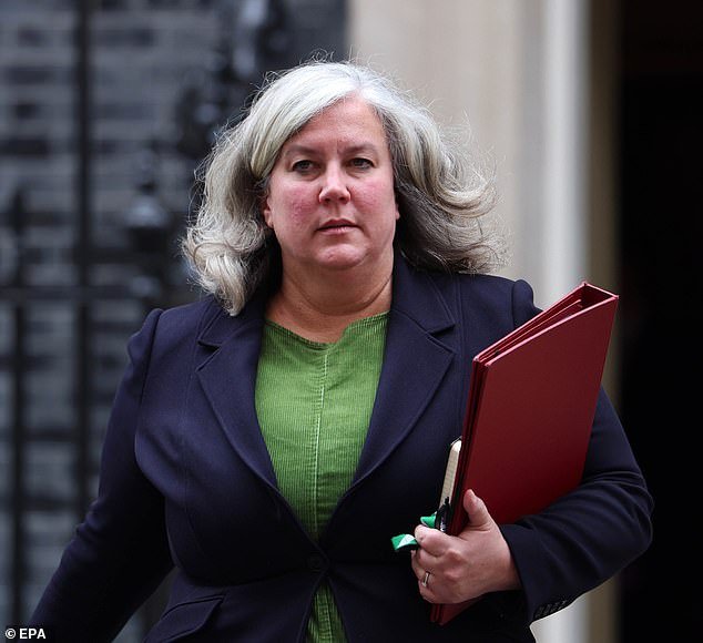 El auto del secretario de Transporte debe ser remolcado “después de chocar contra un bache”