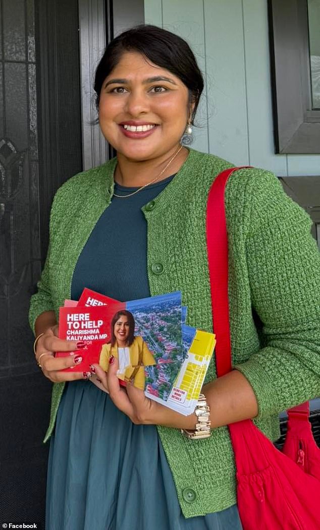 Momento salvaje: el alcalde de Sydney acusado de DOXXING al diputado de Liverpool