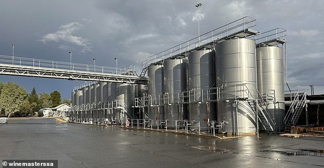 La alguna vez próspera industria vitivinícola de Australia ahora está de rodillas. Y los culpables son los “buenos bebedores dobles” de la Generación Z, dice el productor líder