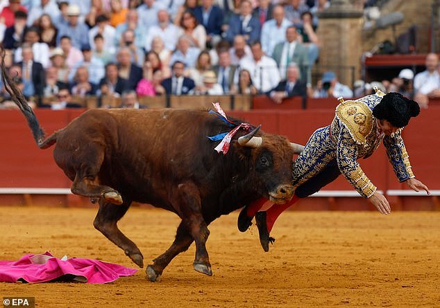 Nunca había sentido tanto dolor, dice el rey de los matadores de España desde su cama de hospital, un día después de que un toro le pinchara el recto, causándole horribles cornadas.