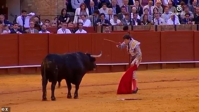 El torero Moment sufre una cornada en el muslo que lo deja en estado “muy grave” días después de que otro matador fuera atravesado con una lanza en las nalgas.