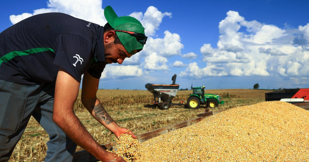 Cómo la guerra en Irán podría destruir la seguridad alimentaria mundial