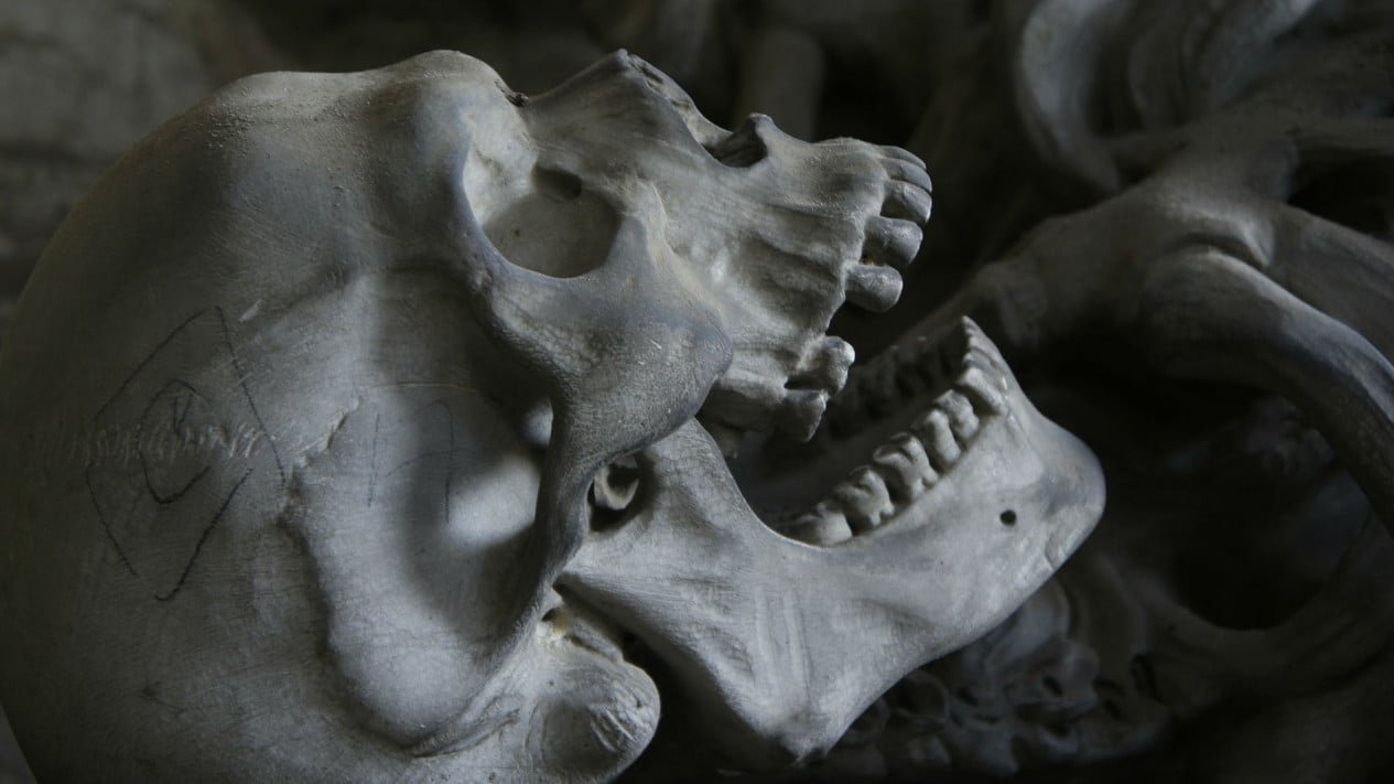 ¡Reveló! Hallados rastros de humanos hace 100.000 años, comienza a desarrollarse la historia de una muerte trágica