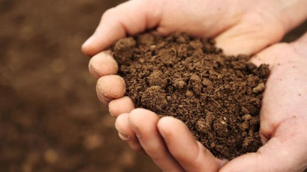 3 formas sencillas de consultar el PPAT oficial para evitar fraudes territoriales