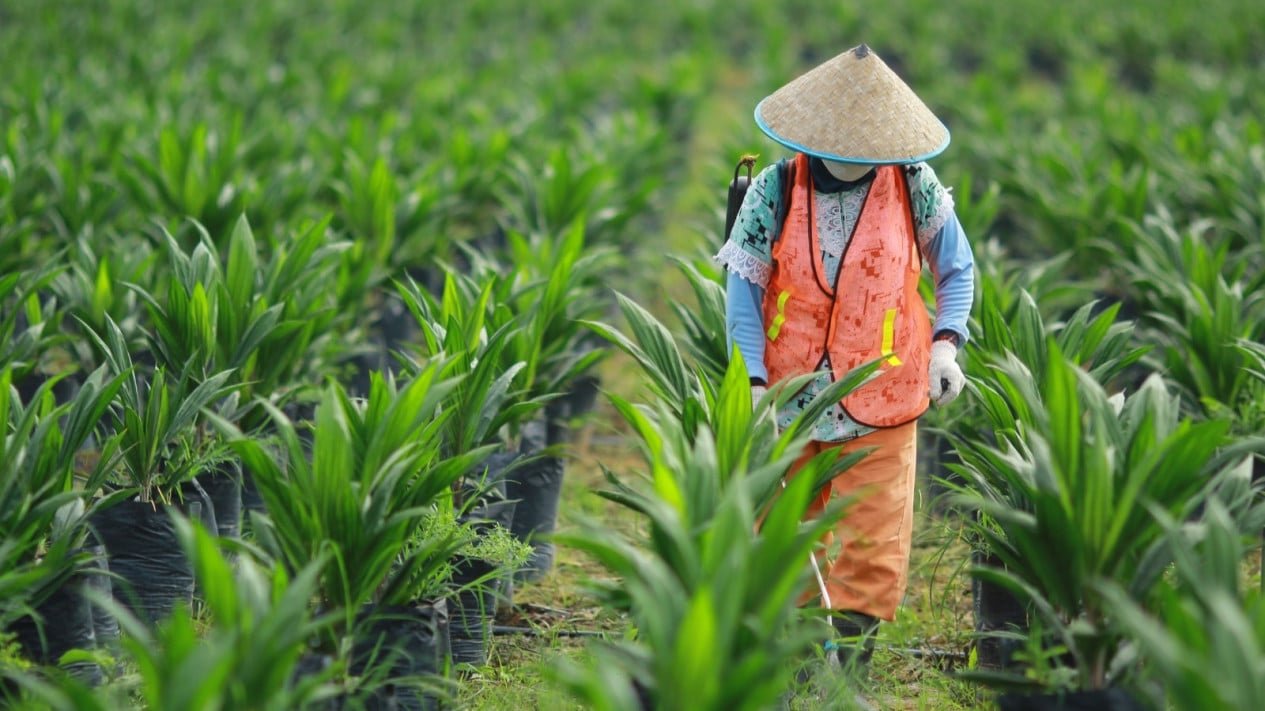 Bakrie Sumatra Plantations registra un beneficio operativo de 388.000 millones de IDR