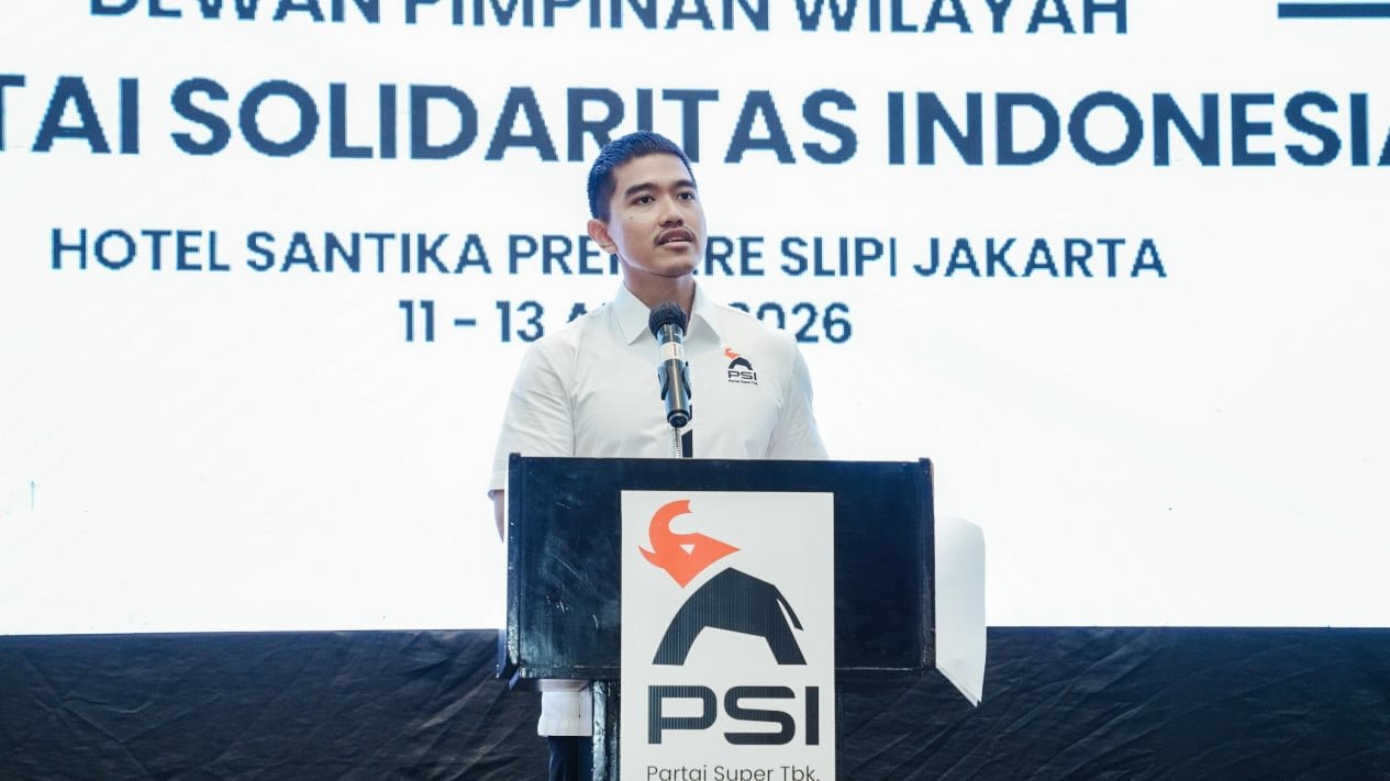 Probamos que esta zona es una jaula de elefantes.