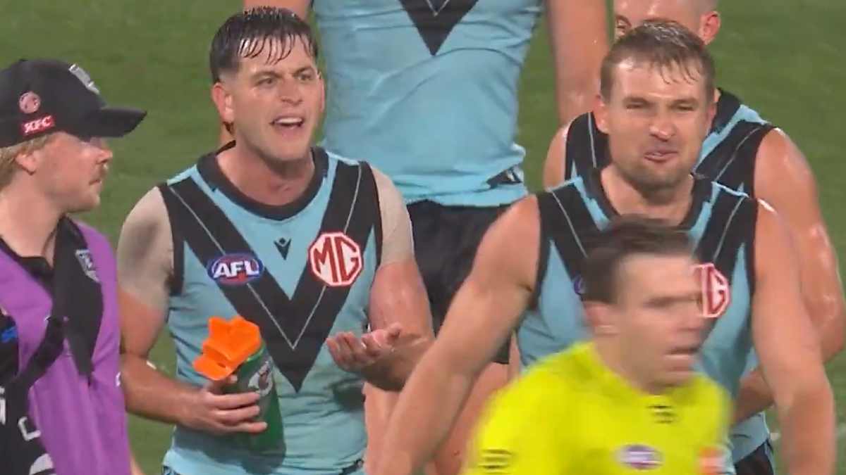 Audiencia del Tribunal de Apelaciones de Port Adelaide en el caso Butters contra el árbitro Nick Foot, emite declaración