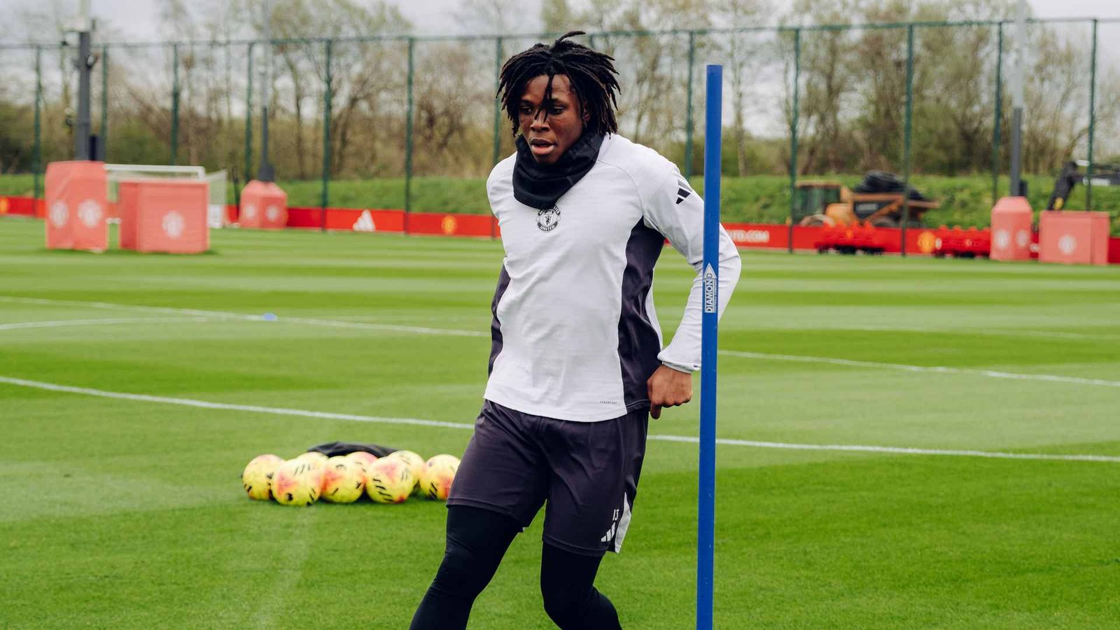 El camino hacia la curación